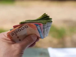 Bono Marzo 2025: Guía completa sobre el Aporte Familiar Permanente y sus beneficiarios.