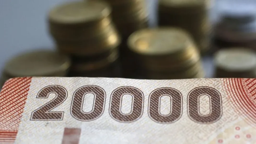 Bono Marzo 2025: Todo sobre el Aporte Familiar Permanente en Chile.