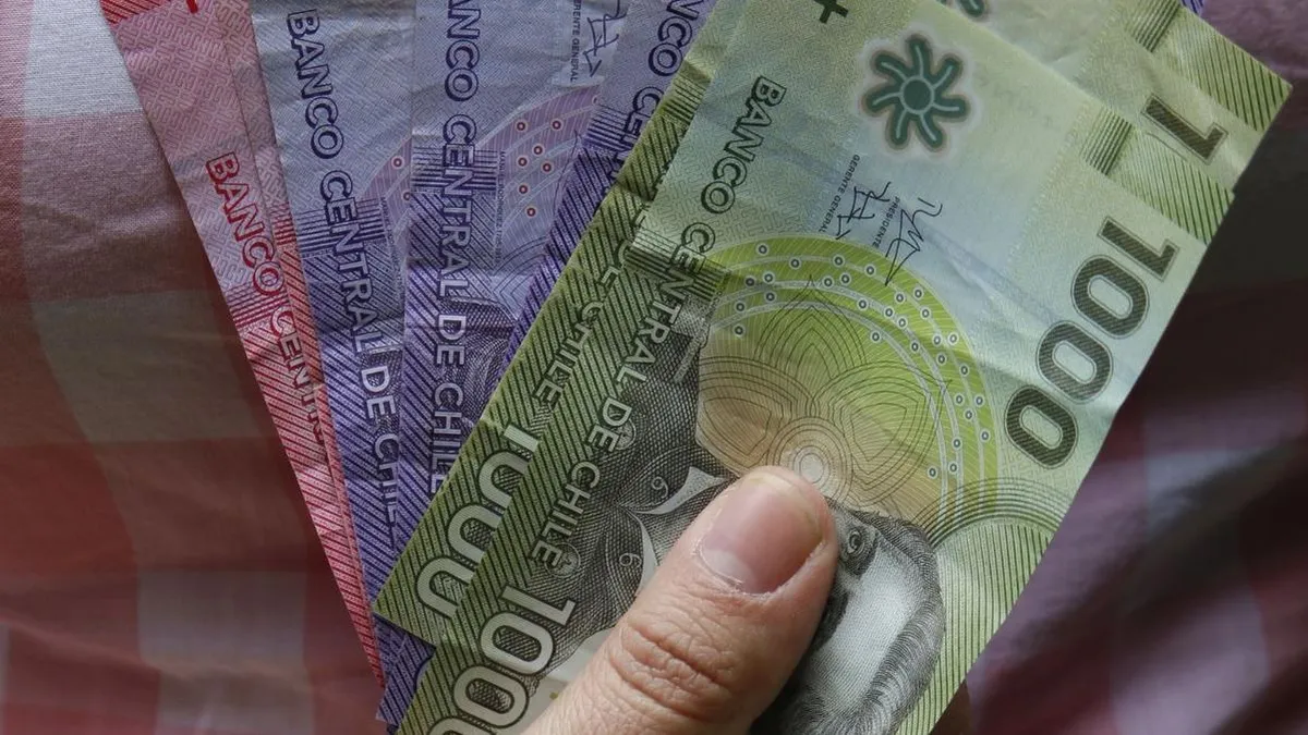 Explora los bonos y subsidios estatales para mujeres en Chile en enero 2025.