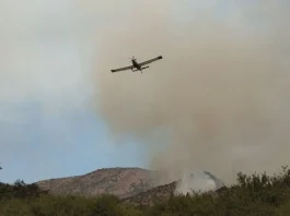 Controlan incendio en Nogales que afectó más de 16 hectáreas de bosque.