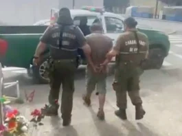 Detenido por provocar incendio forestal mientras cocinaba al aire libre en La Araucanía.