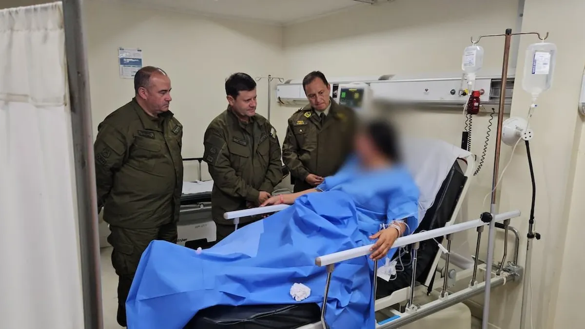 Carabinera herida en emboscada en La Araucanía