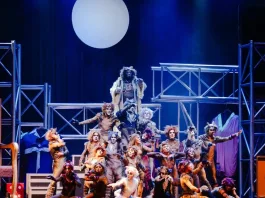 CATS lanza nuevas funciones en Viña del Mar