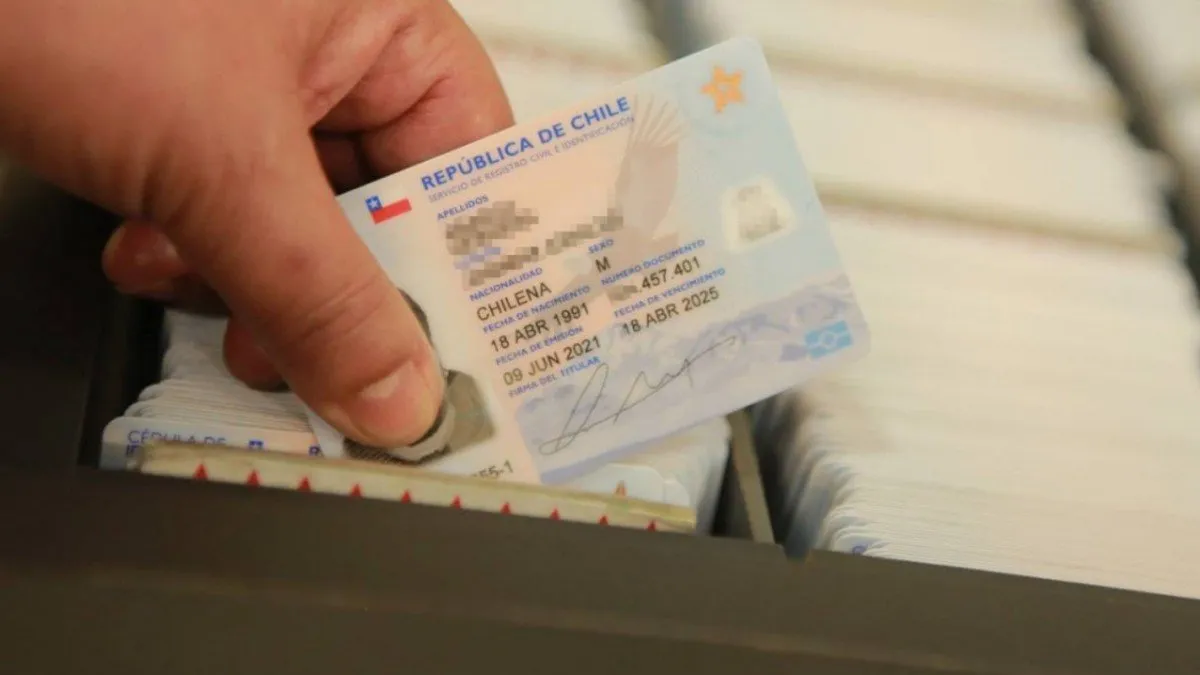 Descubre cómo incluir tu profesión en el carnet de identidad correctamente.