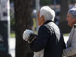 Todos los fondos de pensiones obtuvieron ganancias en 2024. Descubre más aquí.