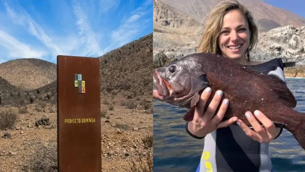 Mariana Derderián celebra el rechazo al proyecto minero portuario Dominga.
