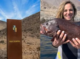 Mariana Derderián celebra el rechazo al proyecto minero portuario Dominga.