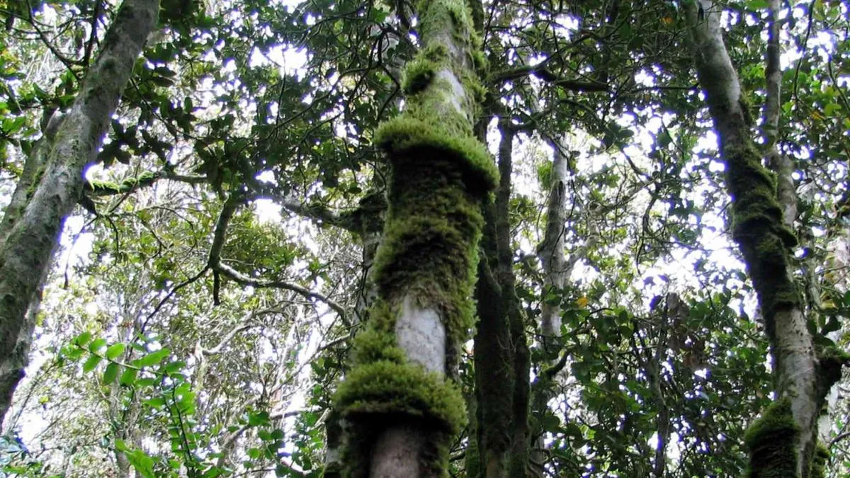 Parques nacionales cerrados por alerta de altas temperaturas este fin de semana.