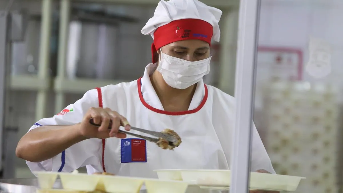 Contraloría inicia sumario a Junaeb por irregularidades en pagos de colaciones.