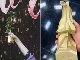 El nuevo galardón de los Copihue de Oro genera críticas en redes sociales.