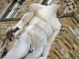 Explorando la ausencia de hueso en el pene humano frente a otras especies.