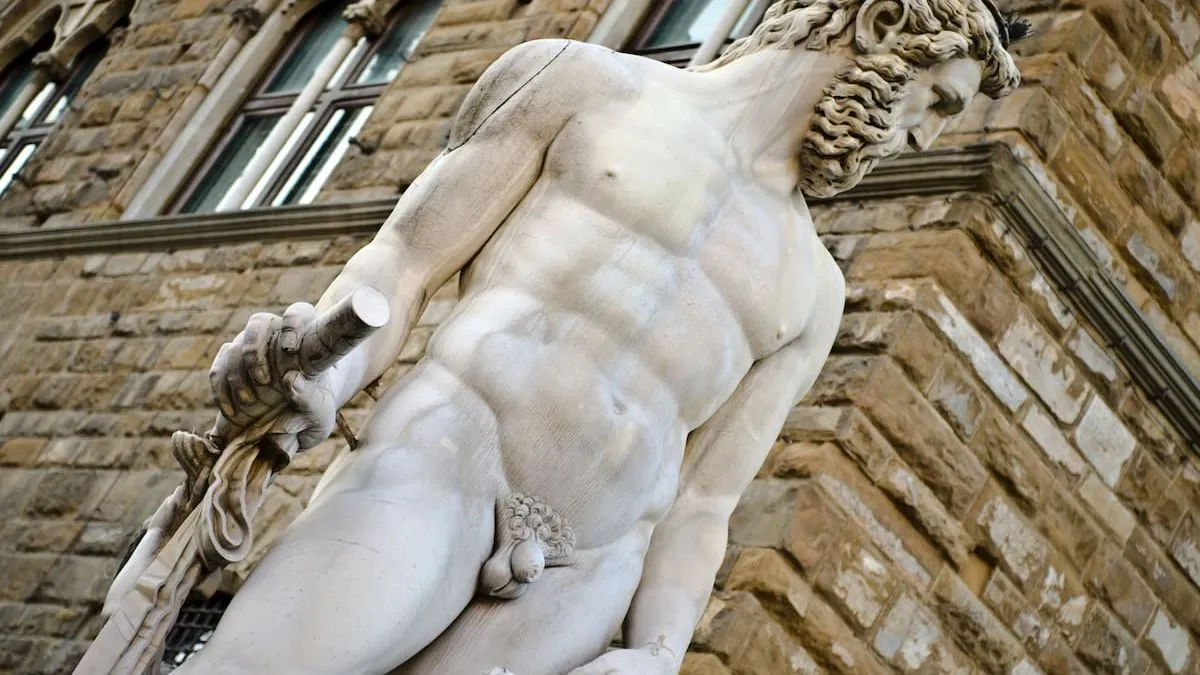 Explorando la ausencia de hueso en el pene humano frente a otras especies.