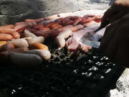 Prevención de incendios: restricciones en asados para proteger nuestros bosques.