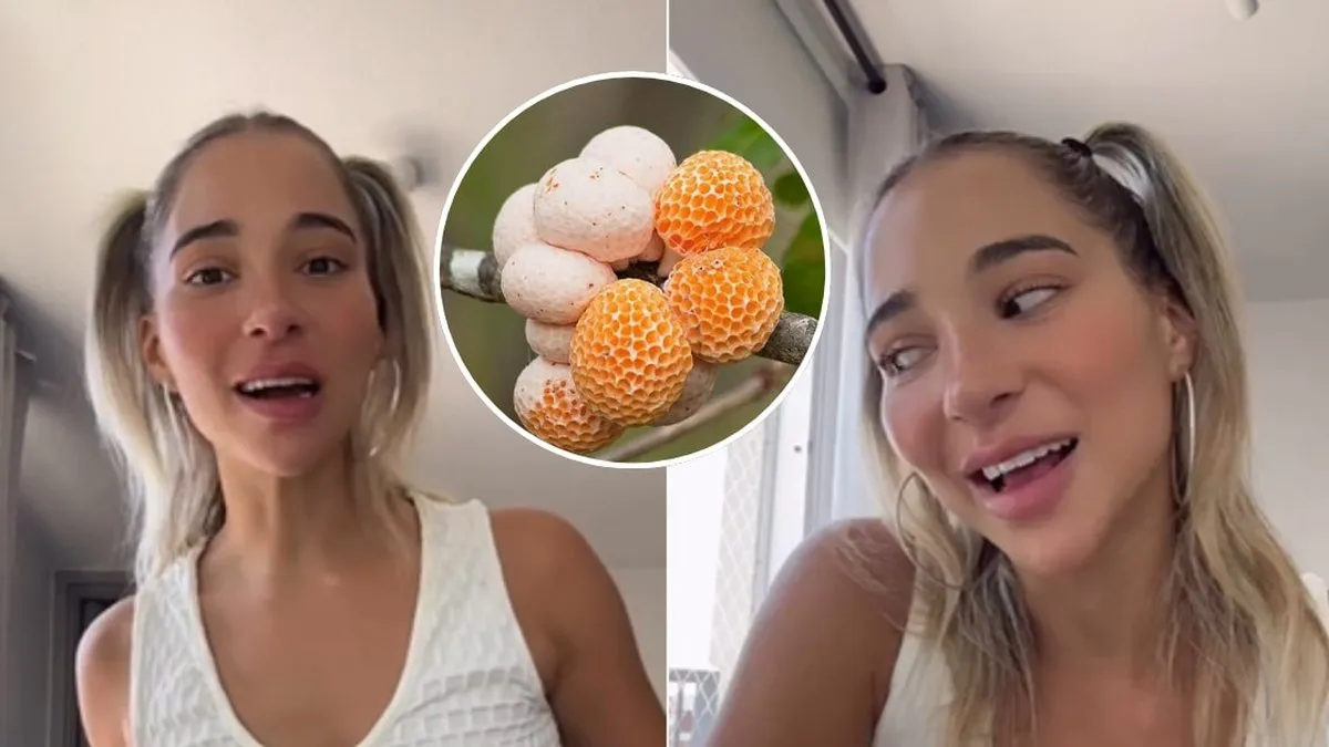 Princesa Alba sorprende con un look inspirado en un hongo chileno en la Gala de Viña.