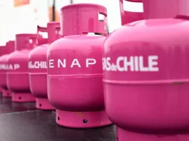 Contraloría exige al Ministerio de Energía devolver fondos del proyecto Gas a Precio Justo.