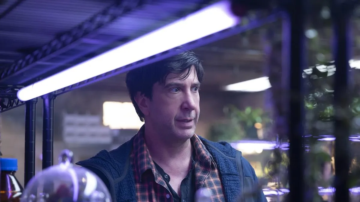 David Schwimmer regresa a la pantalla en una intrigante serie de misterio.