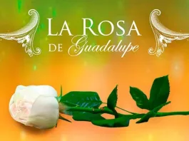 La actriz de "La rosa de Guadalupe" fallece a los 74 años