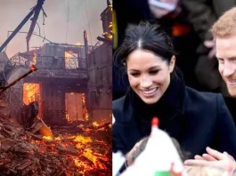 Solidaridad en acción: figuras y empresas apoyan a California tras los incendios.