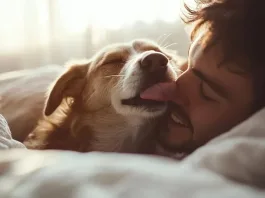 Expertos analizan las consecuencias de evitar que un perro lama a su dueño.