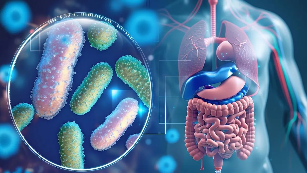 Nuevo atlas molecular: el intestino y su respuesta a alimentos y tratamientos.