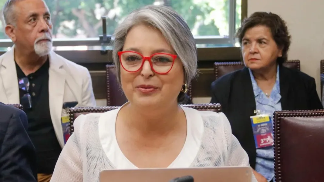 Jara critica la reforma previsional: "Solo los trabajadores ahorran desde hace 43 años".