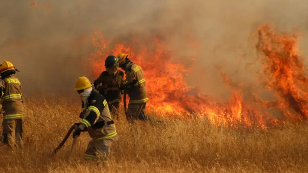 Alerta Roja en Lampa: Senapred activa medidas por incendio forestal.