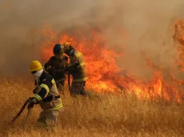Alerta Roja en Lampa: Senapred activa medidas por incendio forestal.