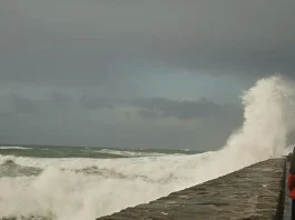 Explora el significado de soñar con marejadas y su impacto emocional.