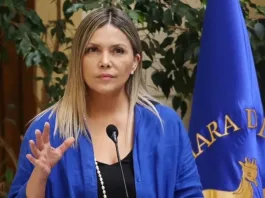 La diputada Marlene Pérez aboga por una solución integral al subsidio eléctrico.