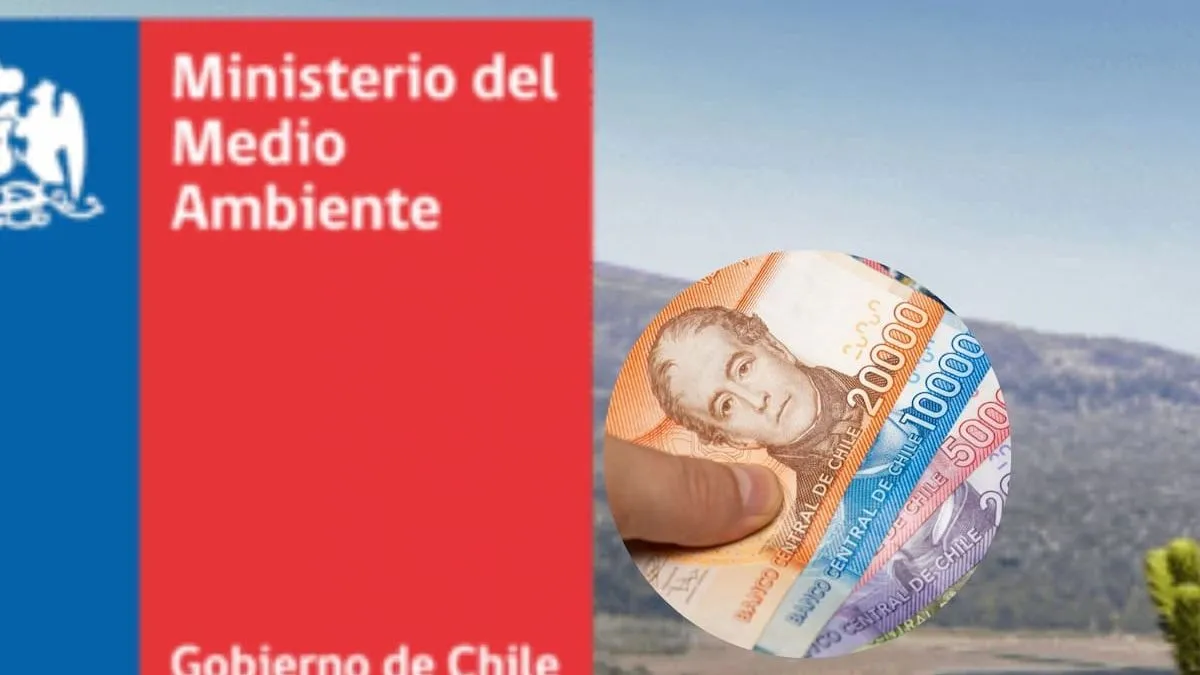 Ministerio del Medio Ambiente en Chile: nuevas ofertas laborales con sueldos altos. Ministerio del Medio Ambiente en Chile: nuevas ofertas laborales con sueldos altos.