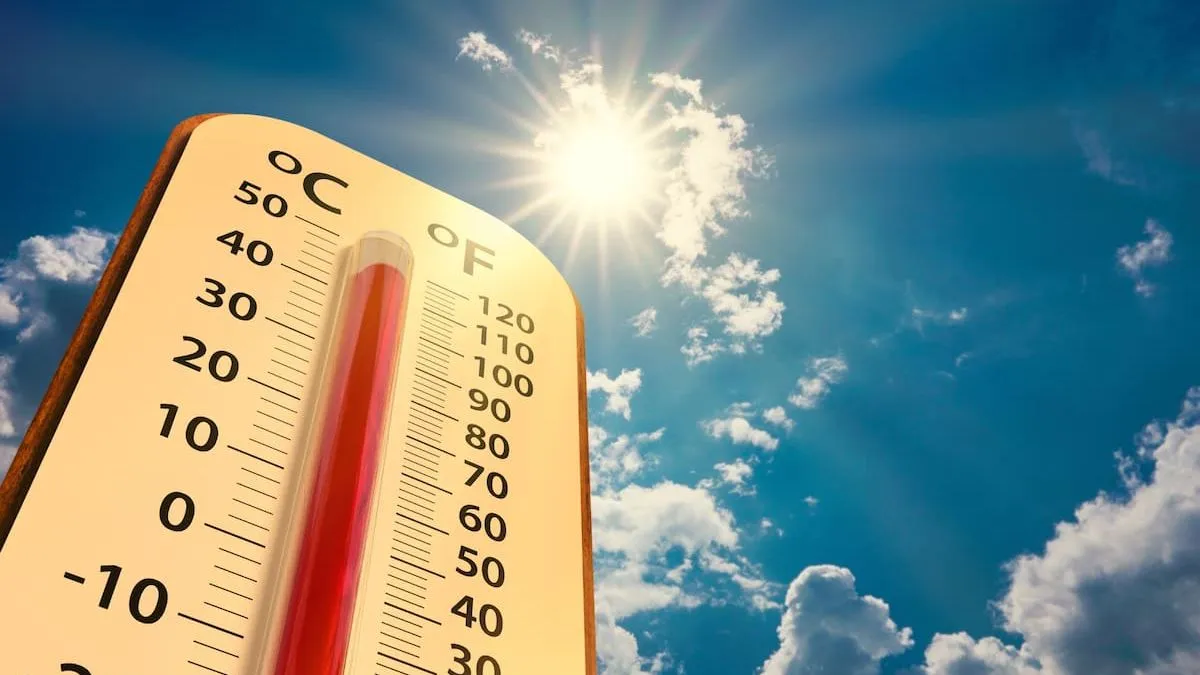 Ola de calor en Chile: Regiones alcanzarán casi 40ºC esta semana.