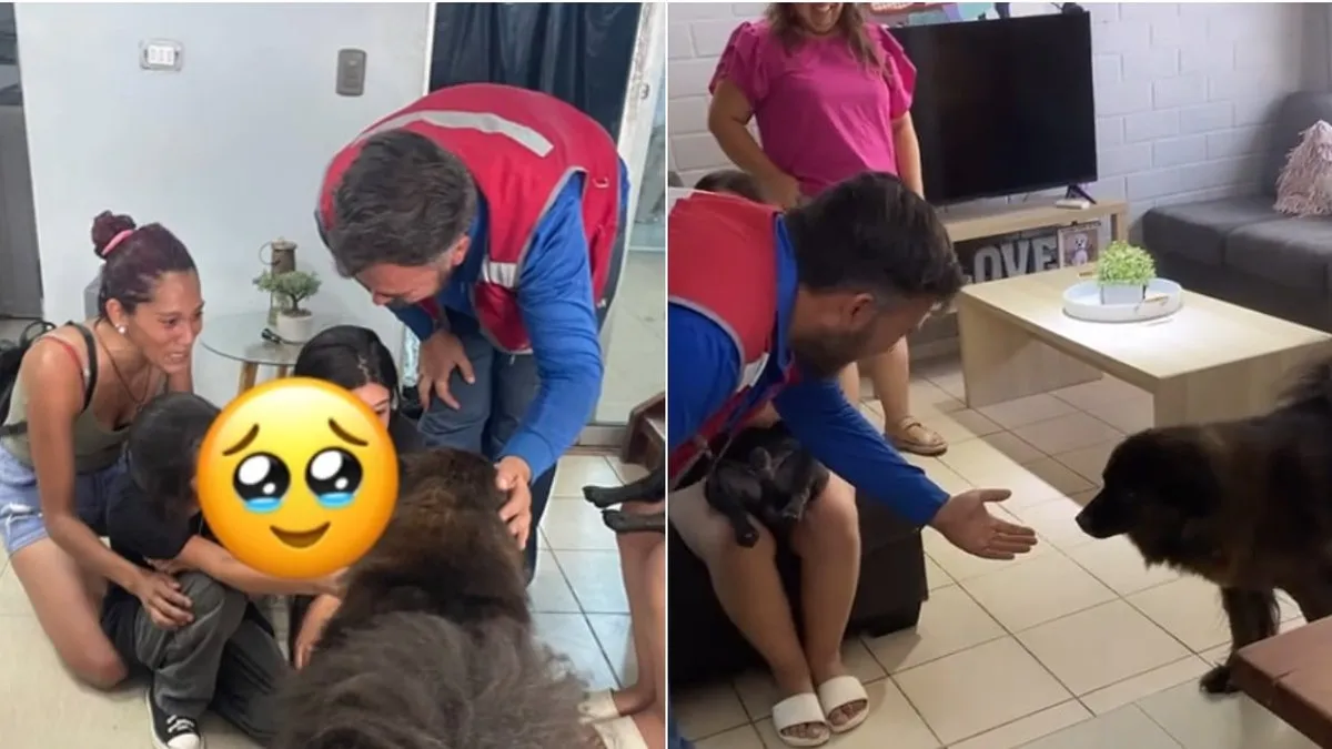 Emotivo reencuentro: la familia abraza a su perrita perdida hace 4 años.