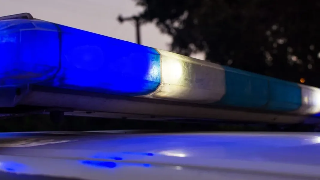 Niño de 8 años atropellado en Argentina; la conductora se escapa del lugar.