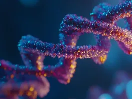 La rapamicina: un prometedor aliado en la lucha contra el envejecimiento.