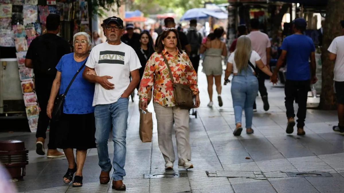 Explora la reforma de pensiones y el nuevo Seguro Social Previsional permanente.