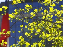 El calor afloja en Santiago: pronóstico del tiempo para este martes.