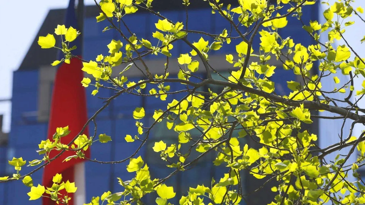 El calor afloja en Santiago: pronóstico del tiempo para este martes.