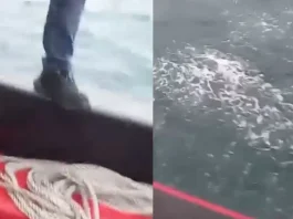 Naufragio en Osorno: al menos dos muertos y más de 20 pasajeros a bordo.