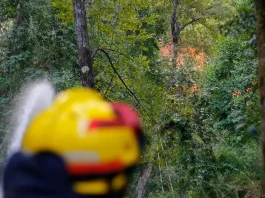Incendio en Rauco consume 5 hectáreas de vegetación tras tronadura en cantera.