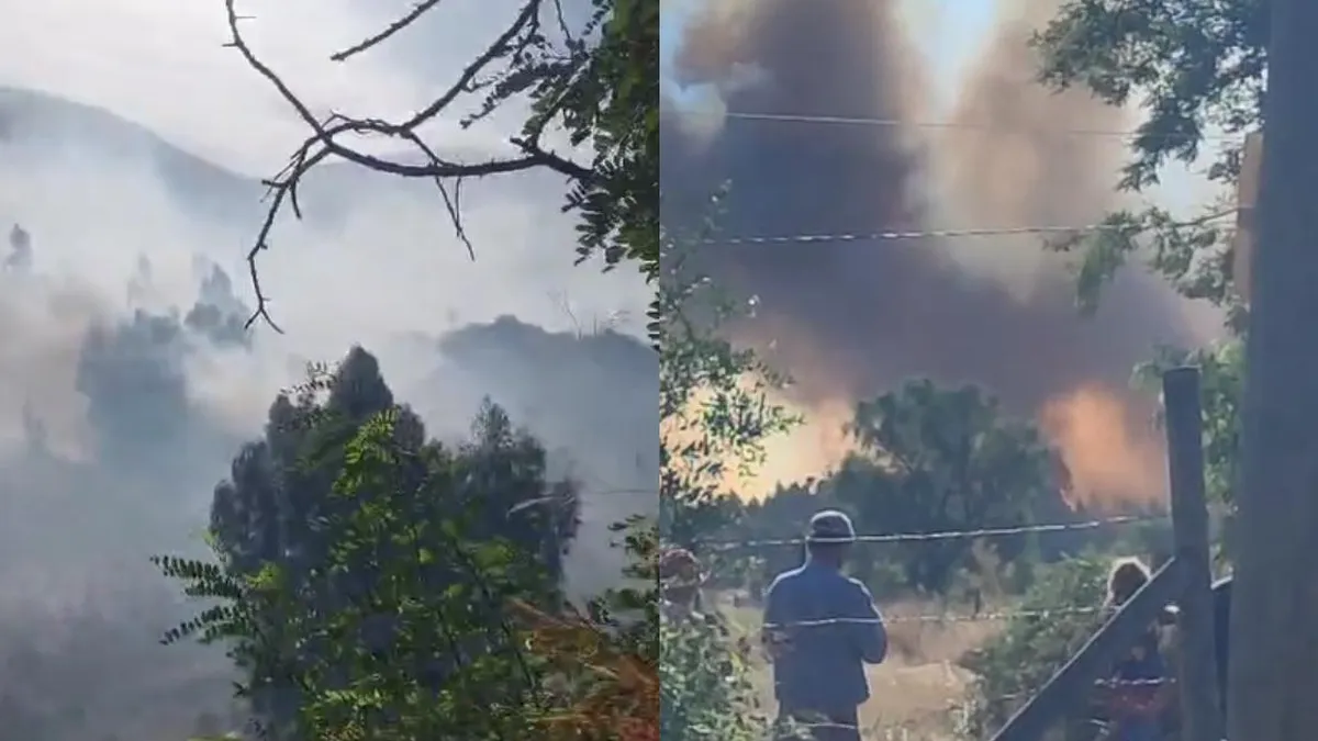 Alerta Roja en Melipilla: CONAF y Bomberos luchan contra incendio forestal.