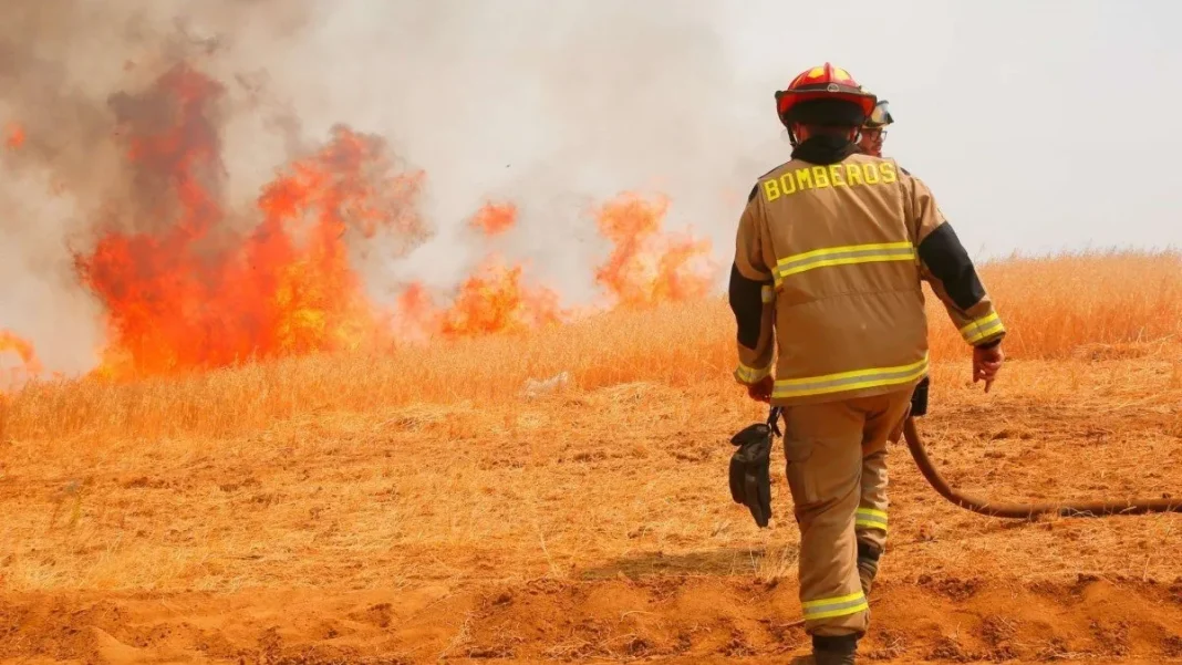 Alerta Roja en Chillán Viejo por incendio forestal en la zona.