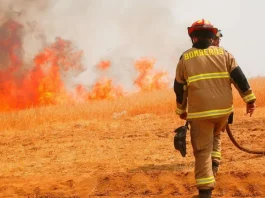 Alerta Roja en Chillán Viejo por incendio forestal en la zona.