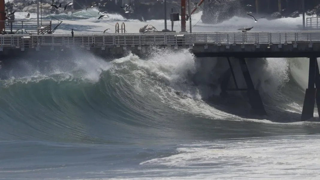Senapred informa sobre dos muertos y un herido por marejadas anormales en el país. Senapred informa sobre dos muertos y un herido por marejadas anormales en el país.
