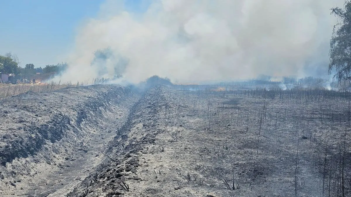 Alerta roja en Talagante por incendio forestal que afecta zonas pobladas.