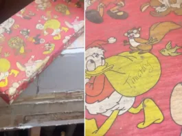 Un hallazgo nostálgico: un regalo de 1978 resurge en la vida de un hombre.