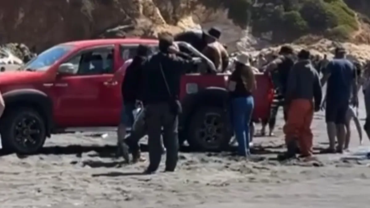 Tragedia en Cobquecura: surfista fallece tras colisión con un bote de pescadores.
