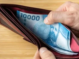 Aporte Familiar Permanente 2025: Monto y fechas clave para beneficiarios.