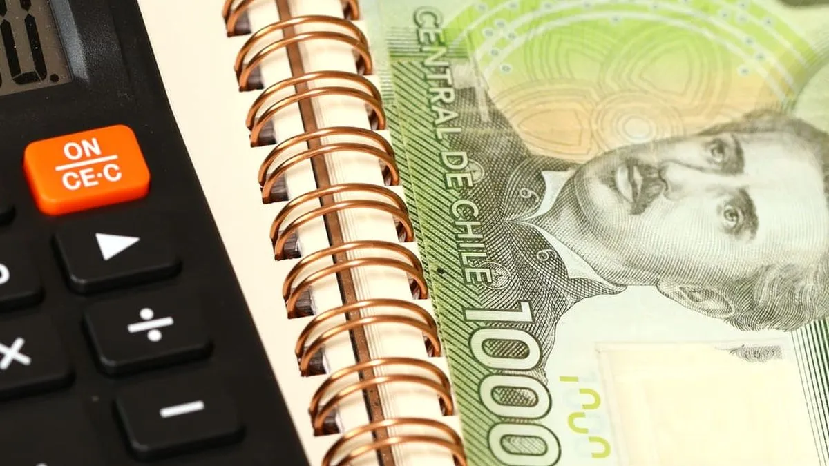 Bono Marzo 2025: nuevo monto del Aporte Familiar Permanente en Chile.