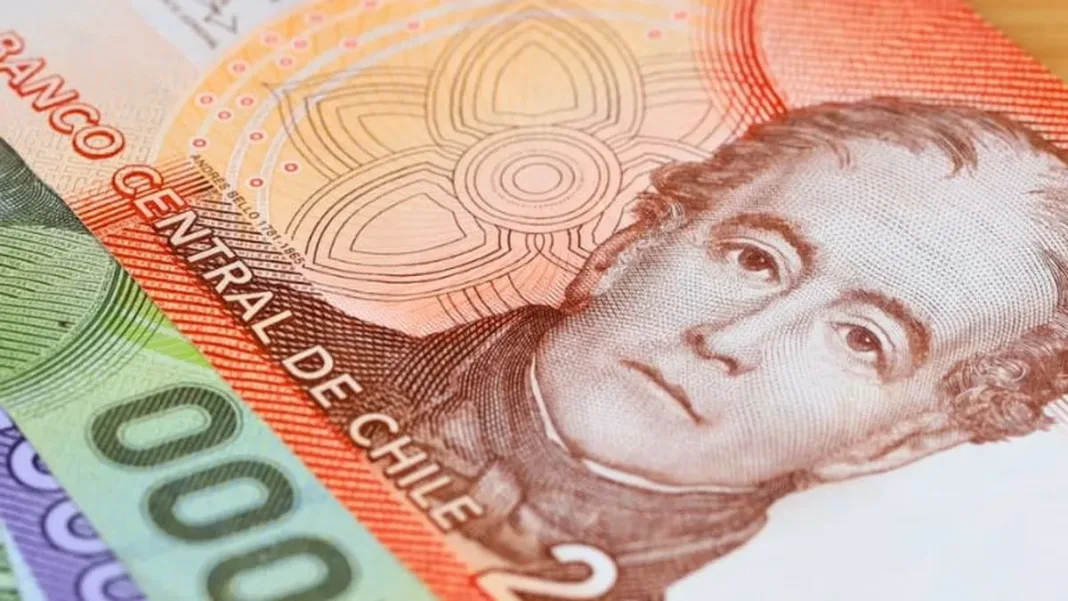 Consulta tu Aporte Familiar Permanente 2025 con RUT y conoce las fechas de pago.