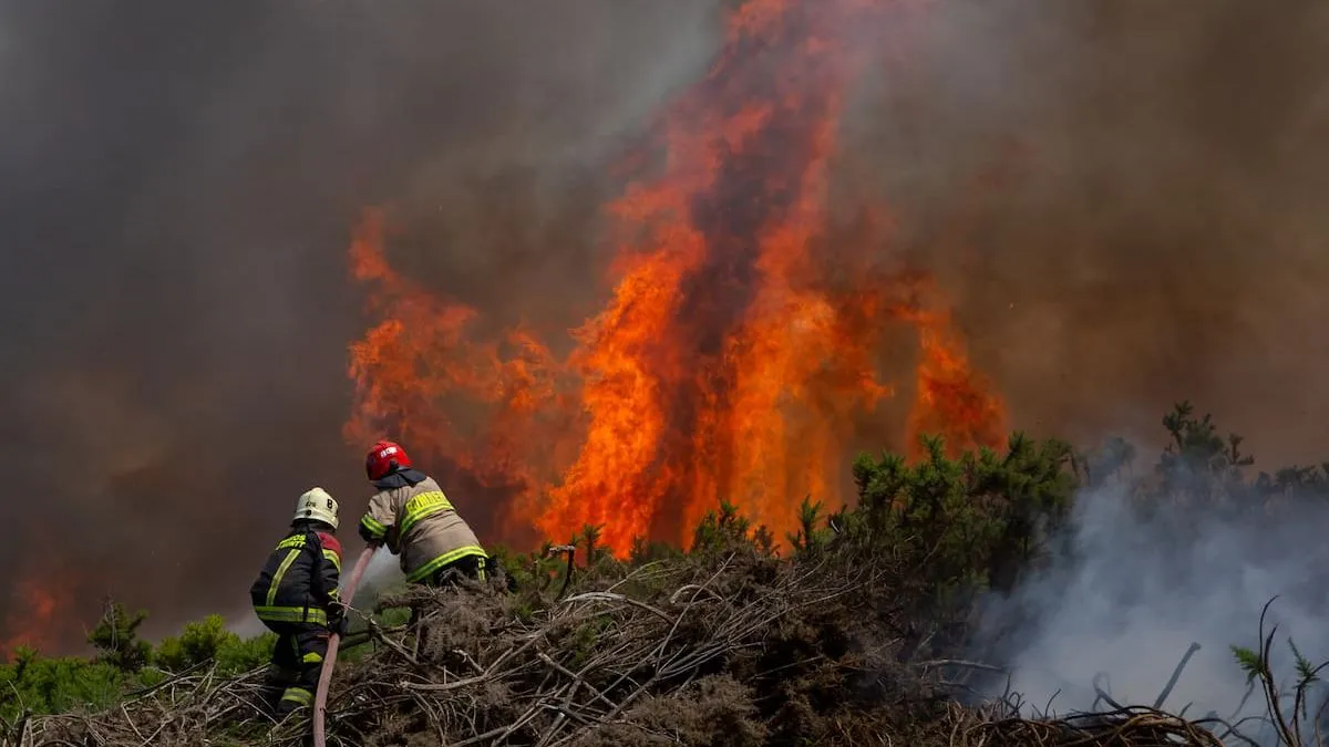 Toque de queda extendido en 12 comunas de Chile por incendios forestales. Toque de queda extendido en 12 comunas de Chile por incendios forestales.